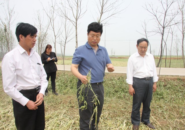 欢迎来到叶县人民政府门户网站!