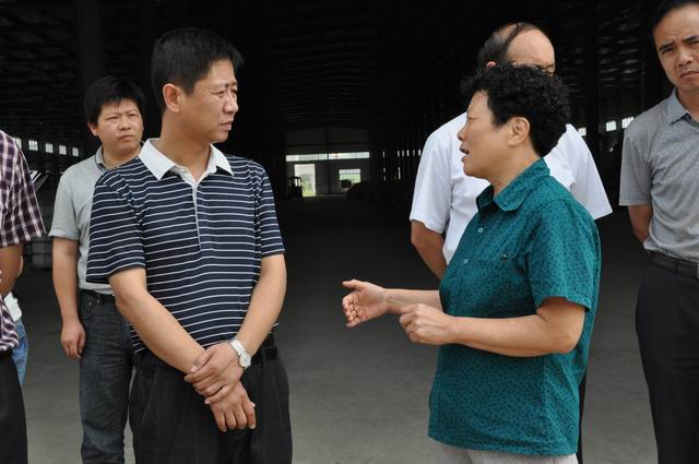 古松调研重点项目建设和信访稳定工作图文